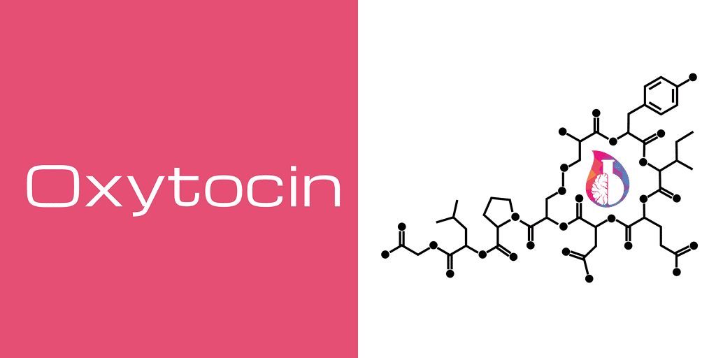 Does intranasal oxytocin work? New evidence suggests it does and here