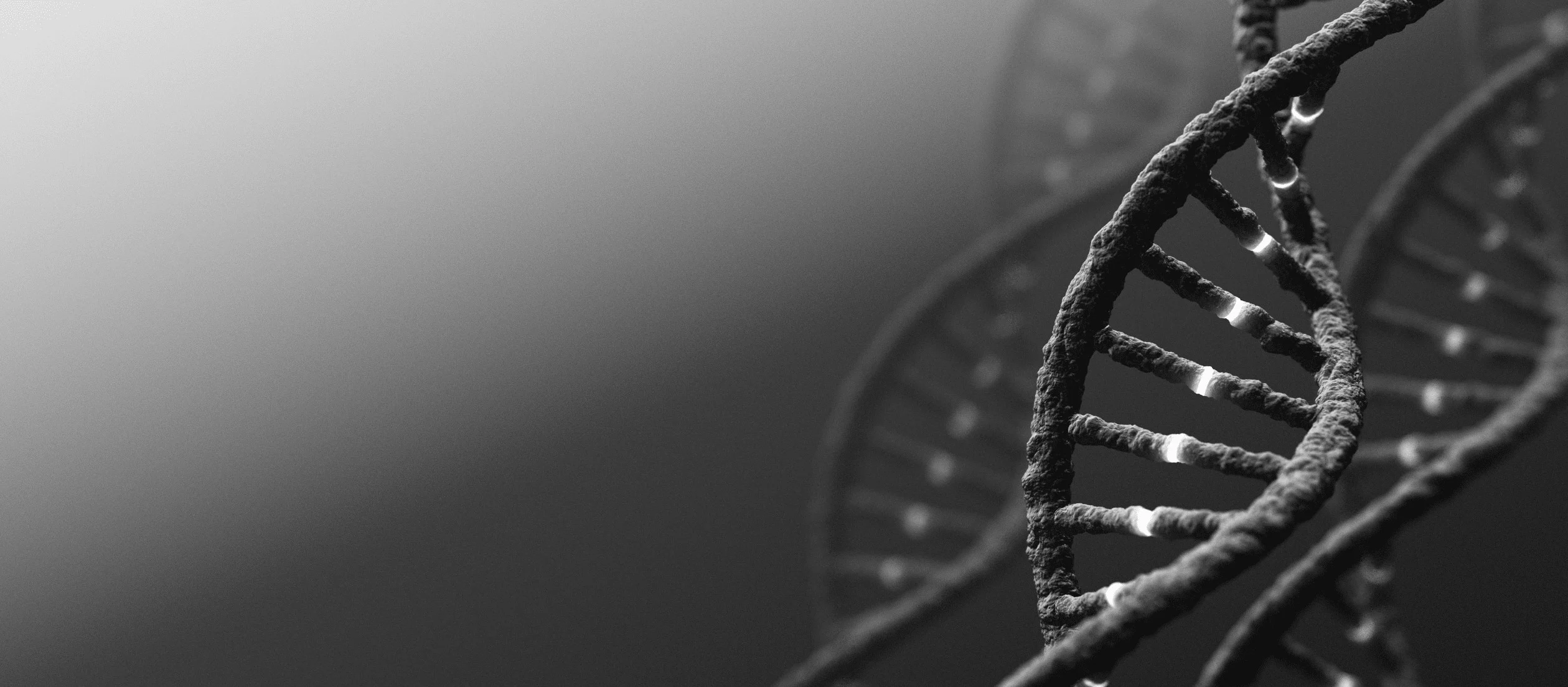 exosome therapy bali NAD+ protocols amnio matrix